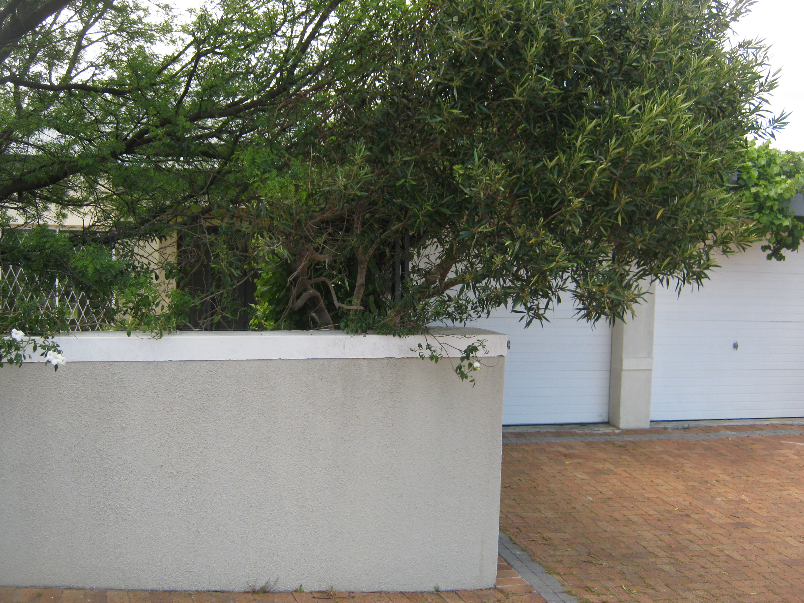 To Let 3 Bedroom Property for Rent in Fernwood Western Cape